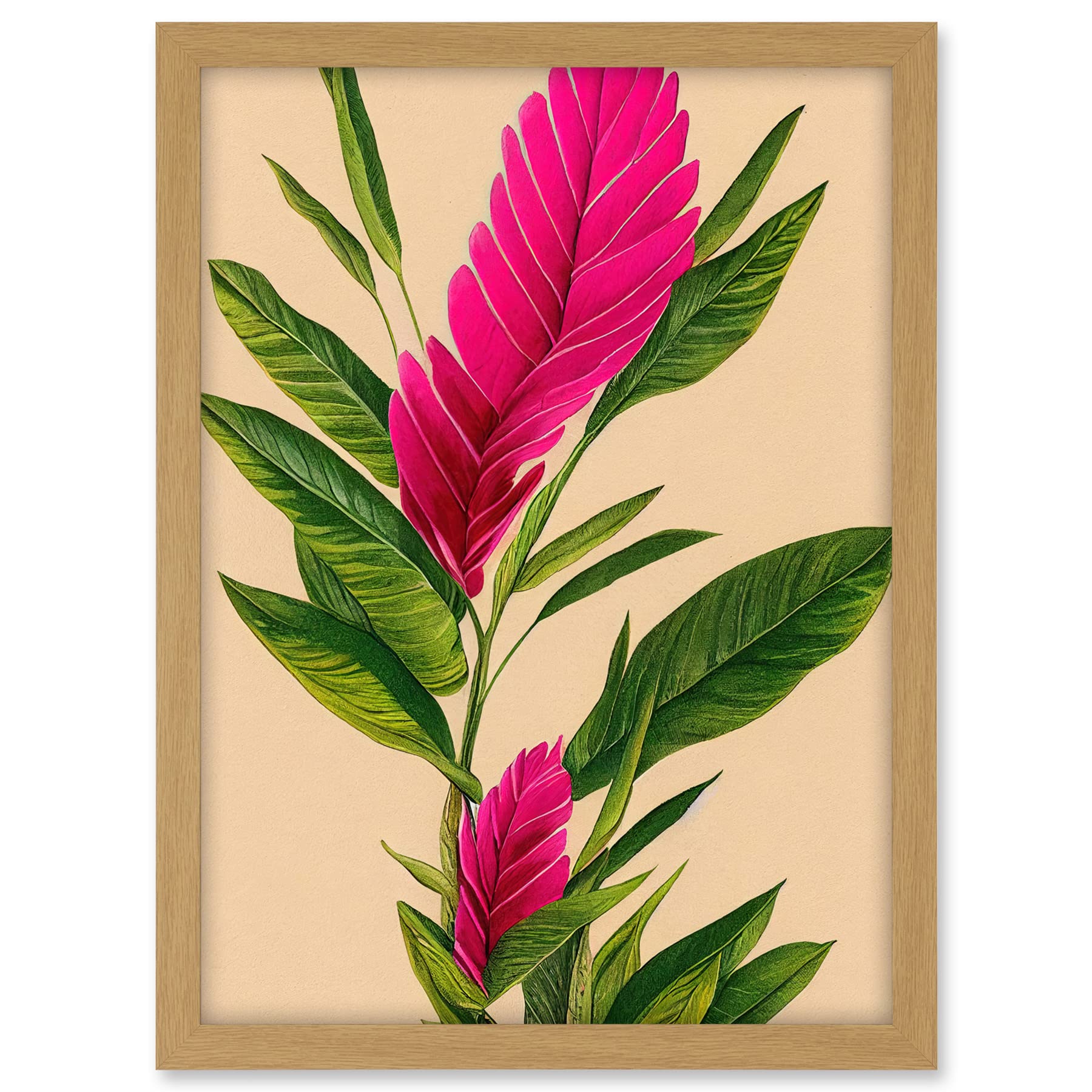 Wee Blue Coo Tropical Hawaiian Botanical Exotic Pink Floral illustration Artwork Framed A3 Wall Art Print
