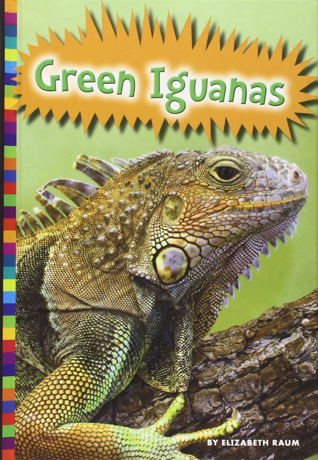 Amicus High Interest Green Iguanas