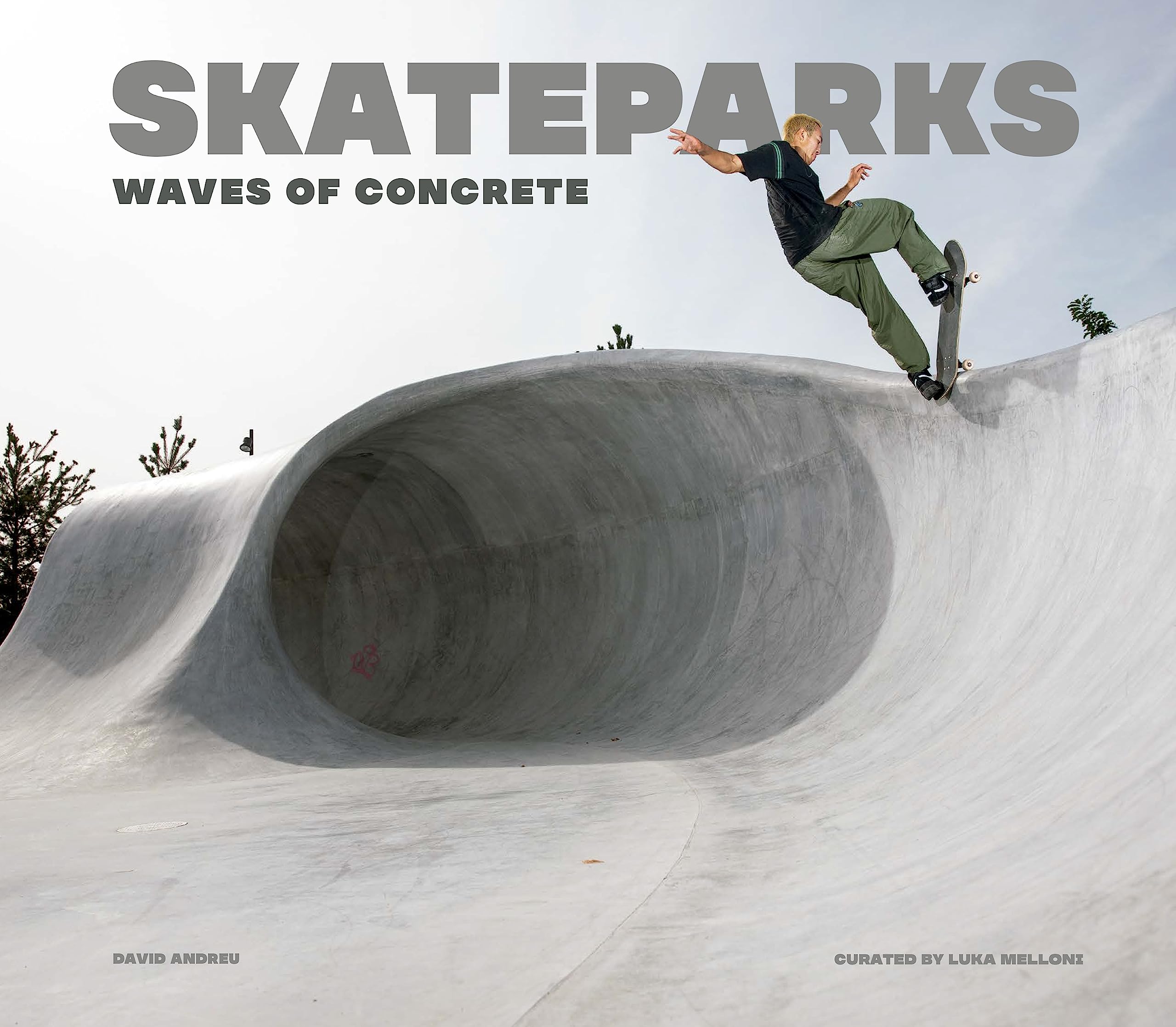 Skateparks - 9788499366456