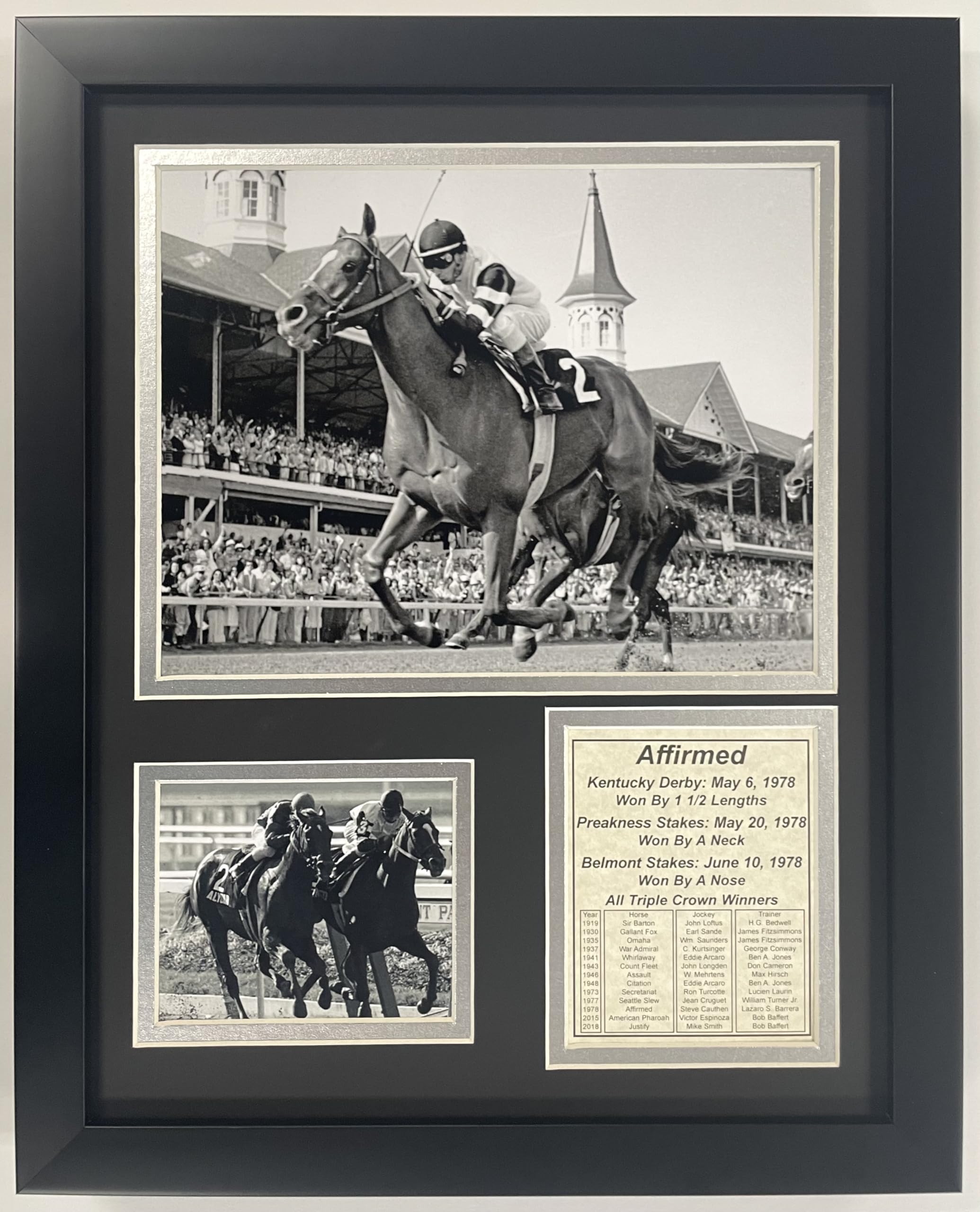 Amazon.com: Championsip Racehorse Collectible Memorabilia | Triple