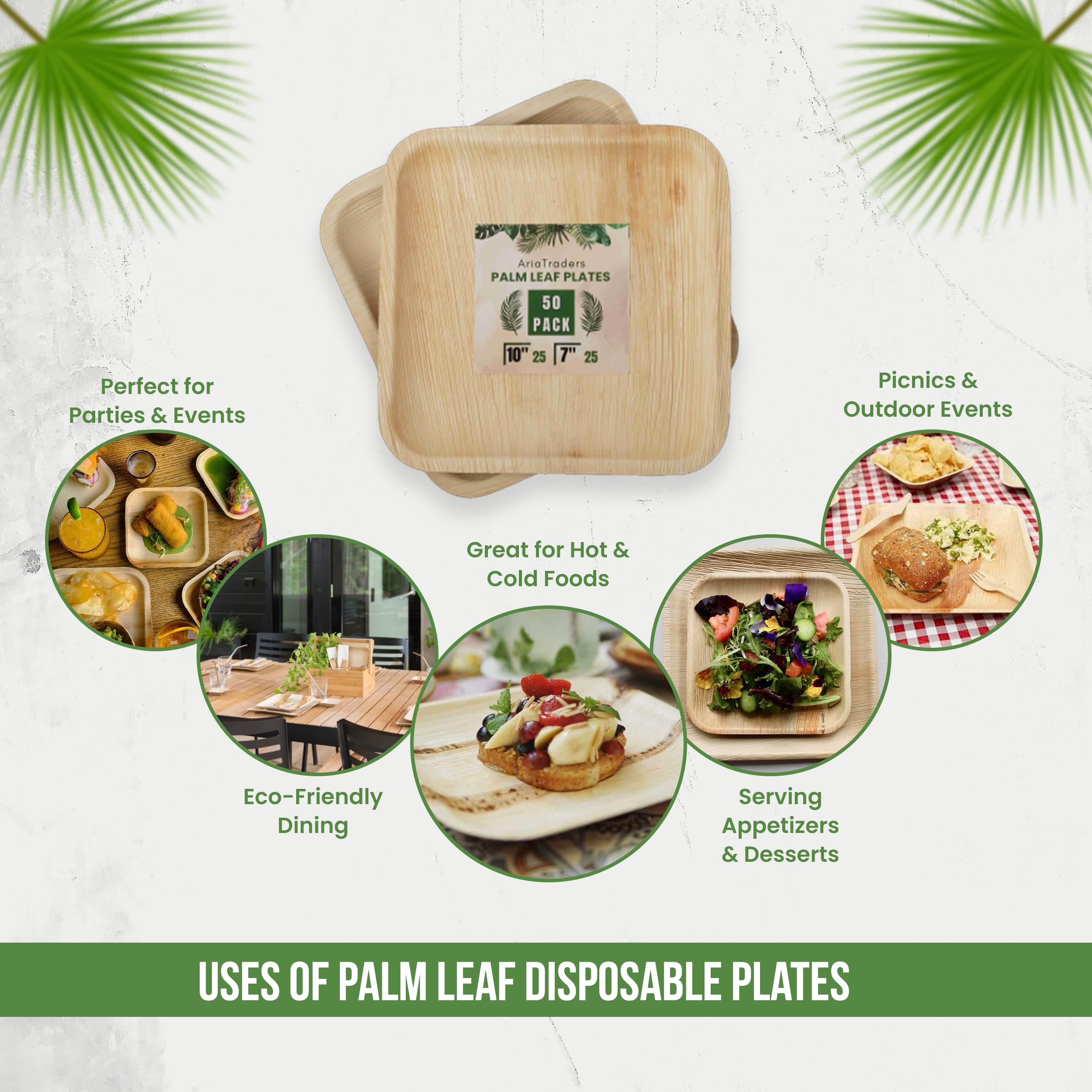 Plato de bambú desechable (juego de platos cuadrados de 10 pulgadas (50 piezas)