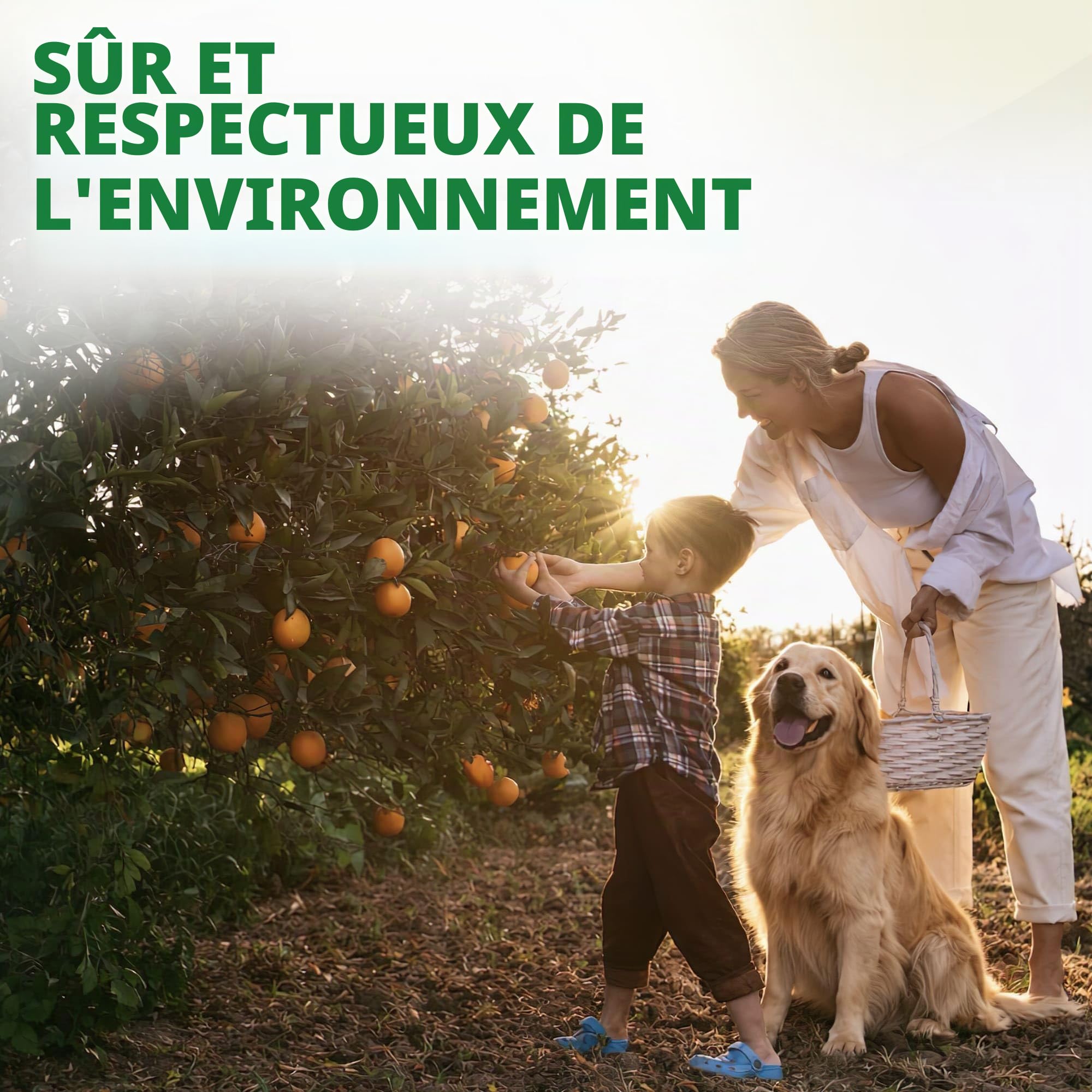 CITRUMAX Agrumes BIO engrais N-P-K granulaire 4-6-10 azote + phosphore + potassium + fer + magnésium + calcium (Limoni-Mandarini-orange--Kumquat) Culture biologique de haute qualité (3,5 kg)