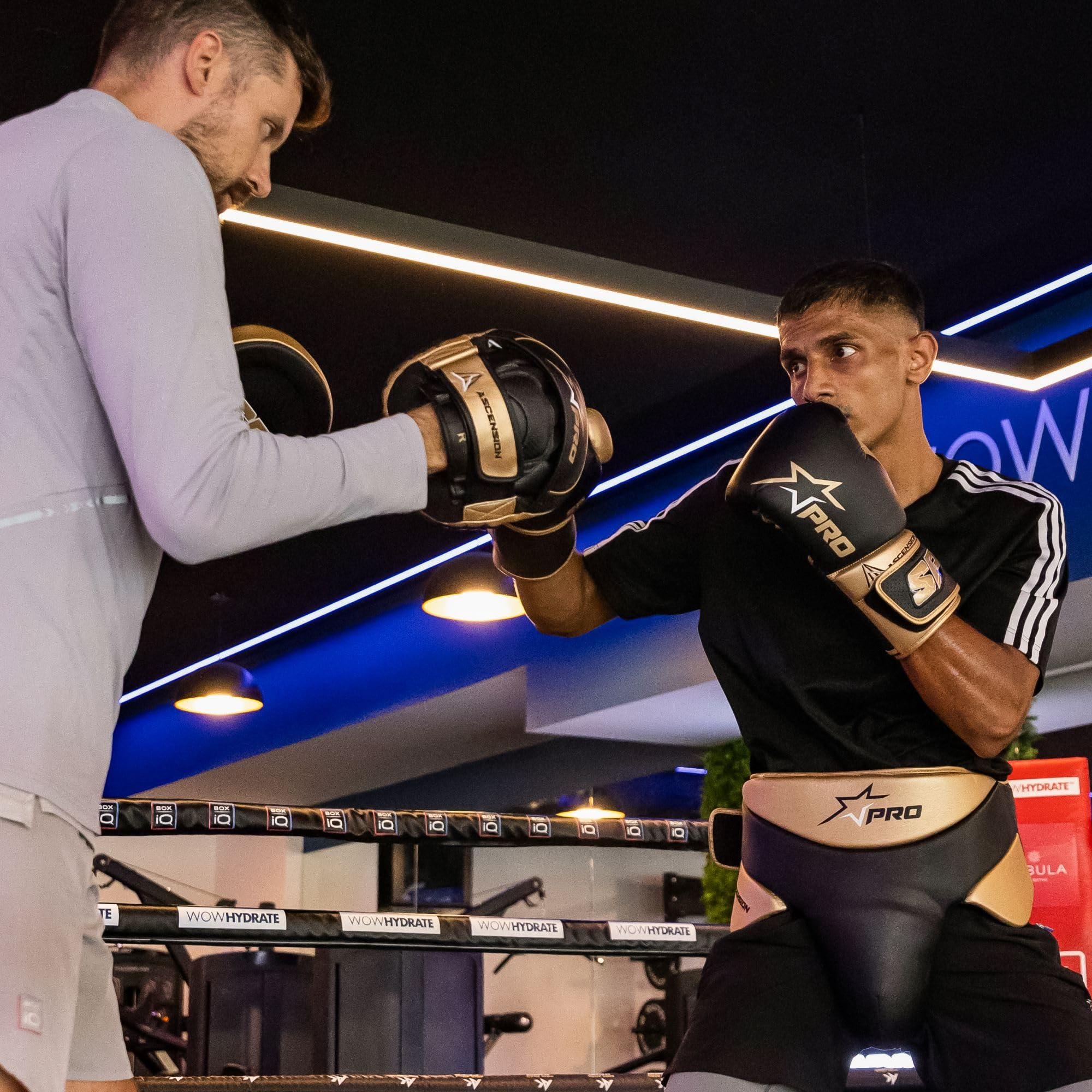 Starpro Premier Hook n' Jab Precision Focus Mitts | Wysokiej jakości skóra bydlęca | Marron i czarny, podkładki do coachingu dokładności w boksie, MMA, kickboxingu, sztukach walki, muay thai i