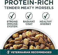 Vista 6 de Purina ONE Plus Fórmula Seca para Cachorros de Raza Grande - Bolsa de 40 lb