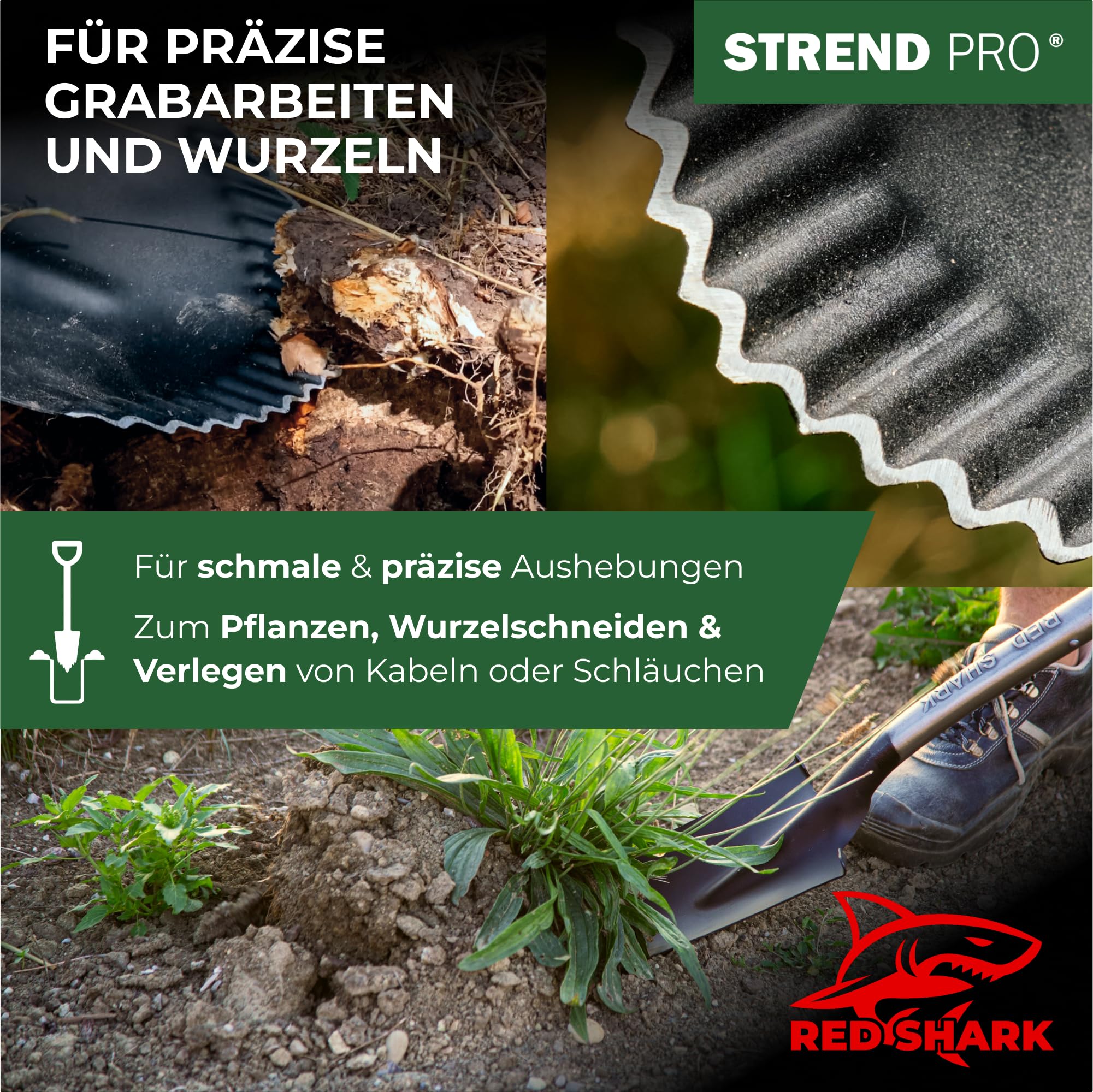 STREND PRO Spaten | Premium RedShark Gärtnerspaten | Drainagespaten mit Fiberglasstiel | D Spatenstiel | Schmal Spaten für Garten mit Stabiler Stahlkopf |für Harte, steinige Böden| Wurzelspaten