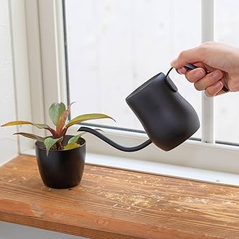 Amazon.co.jp: TETSUNAGI じょうろ 水差し プランターピッチャー