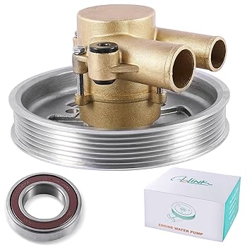 Amazon.com: AULINK 21212799 (NSK Bearing) Raw Sea Water Pump