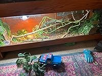 Review Image by Naya Naya