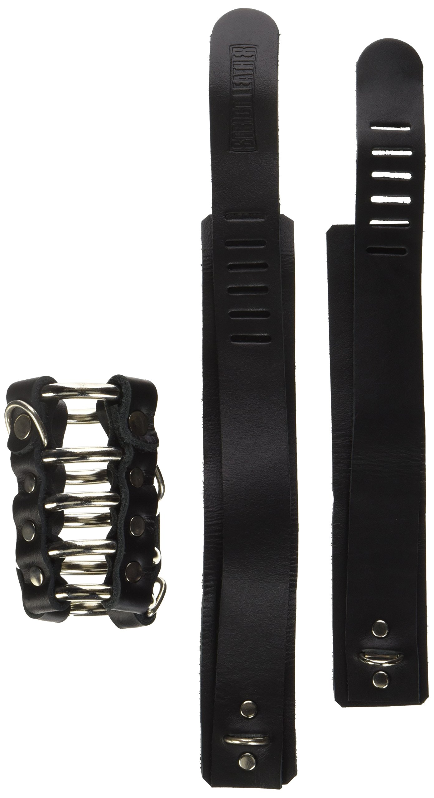 Strict Leather Gates of Hell Chastity Device