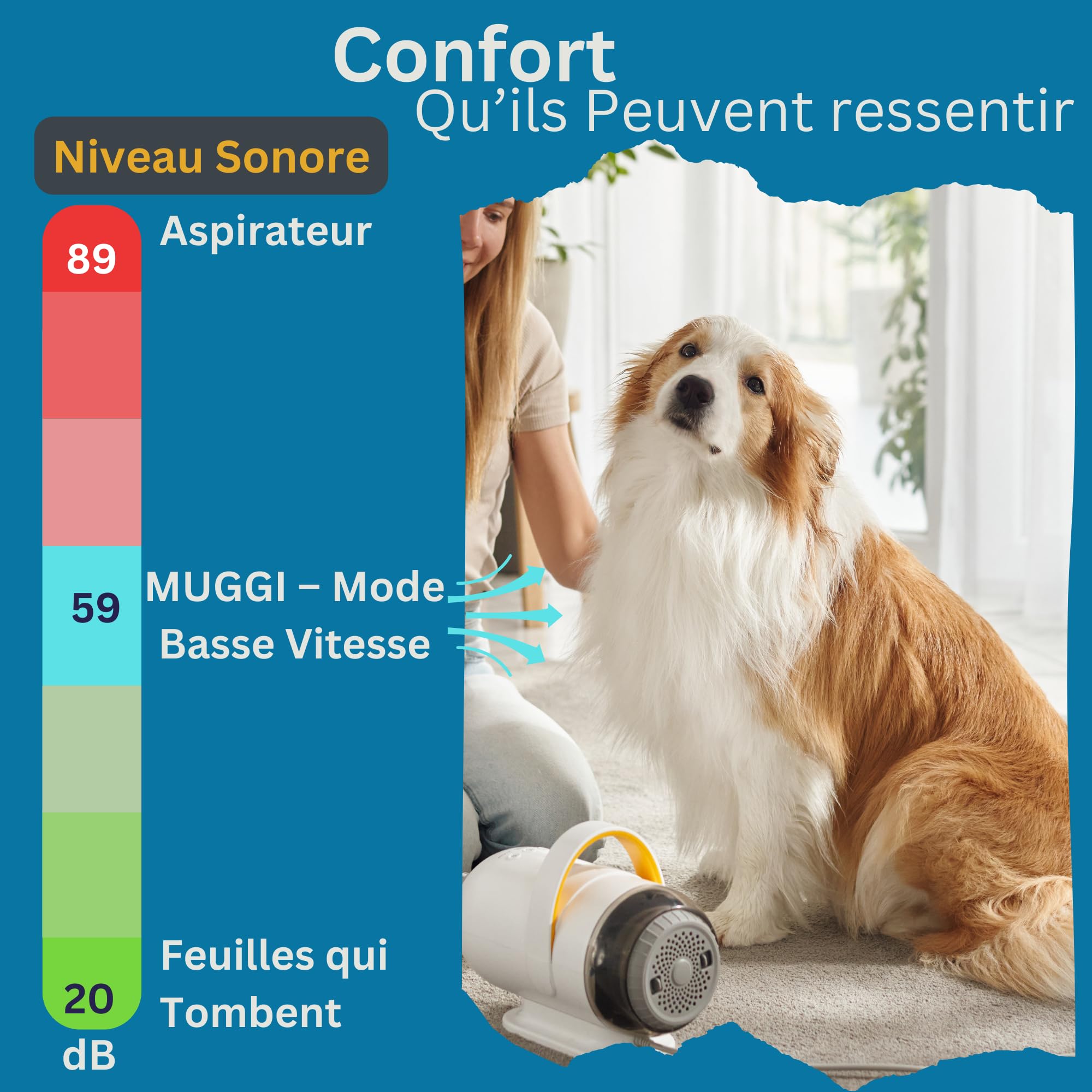 MUGGI Pulsore per cani 2 in 1 con funzione aspirapolvere peli di cane, asciugacapelli, 3200 W, 7 velocità caldo/freddo, anioni antistatiche, silenziose, tubo estensibile, 4 ugelli inclusi