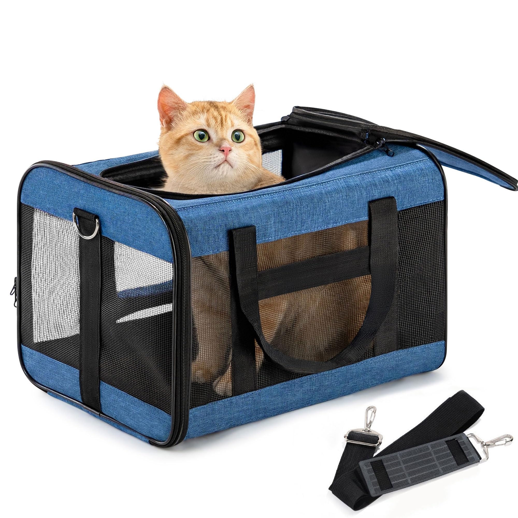 Conlun Cat Carrier Airline Approved, Soft-Sided Dog Carrier with Inner Safety Leash, Pet Transport Carrier for Small-Medium Cats Puppies up to 15 Lbs,