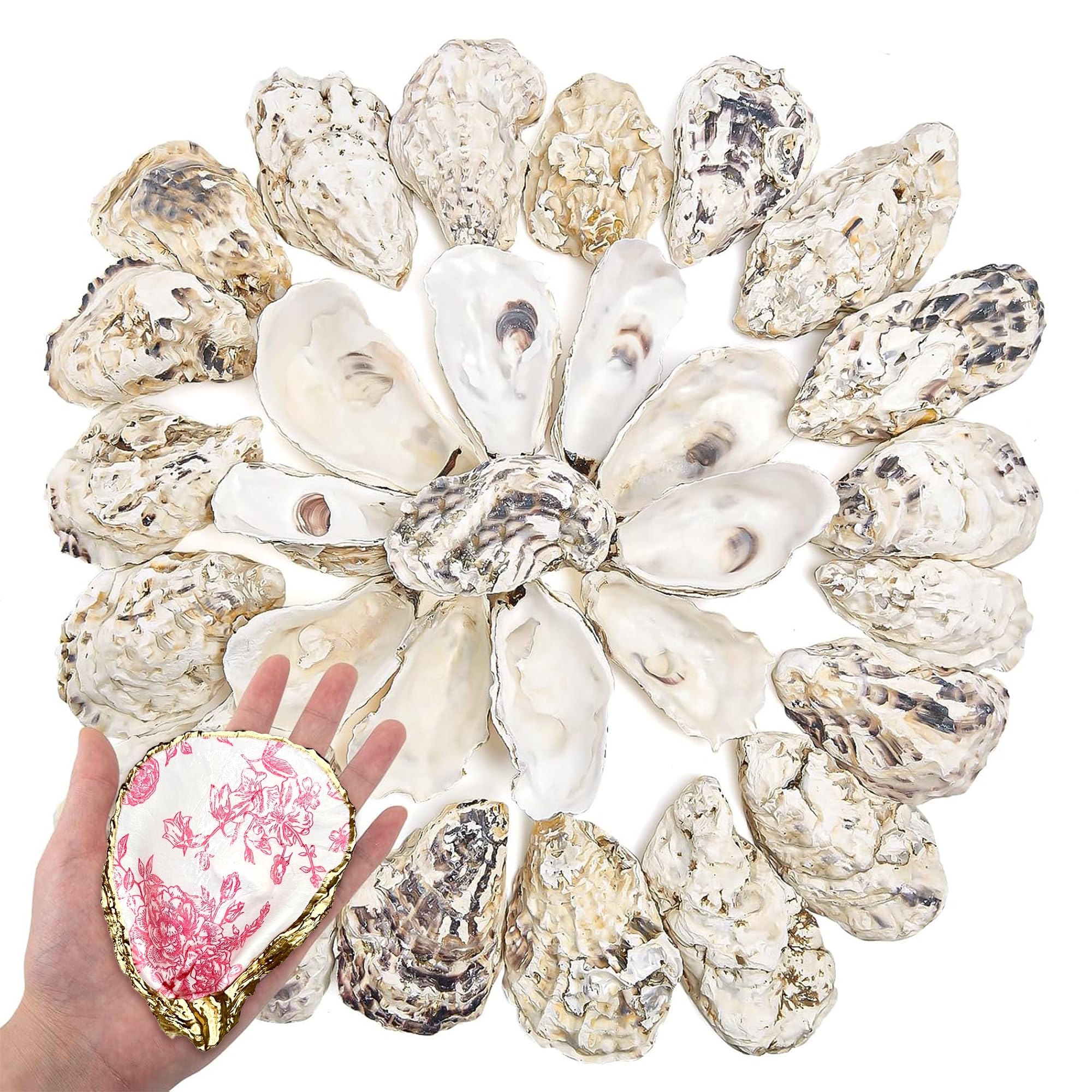 35Pcs 4-5 Inch Oyster Shells Large Natural Concave for Crafts