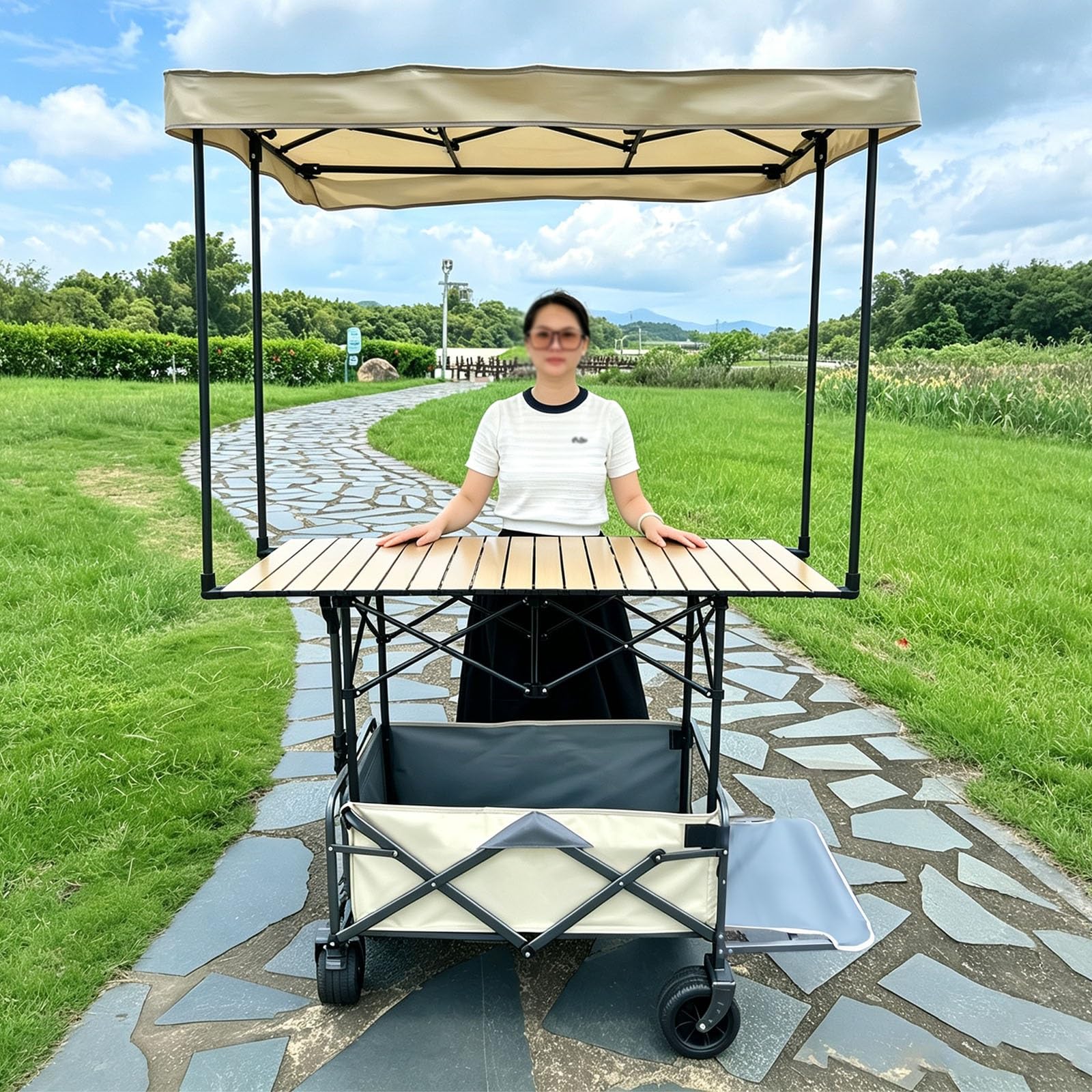 Chariot de Vente Portable avec auvent, Chariots Alimentaires avec Roues
