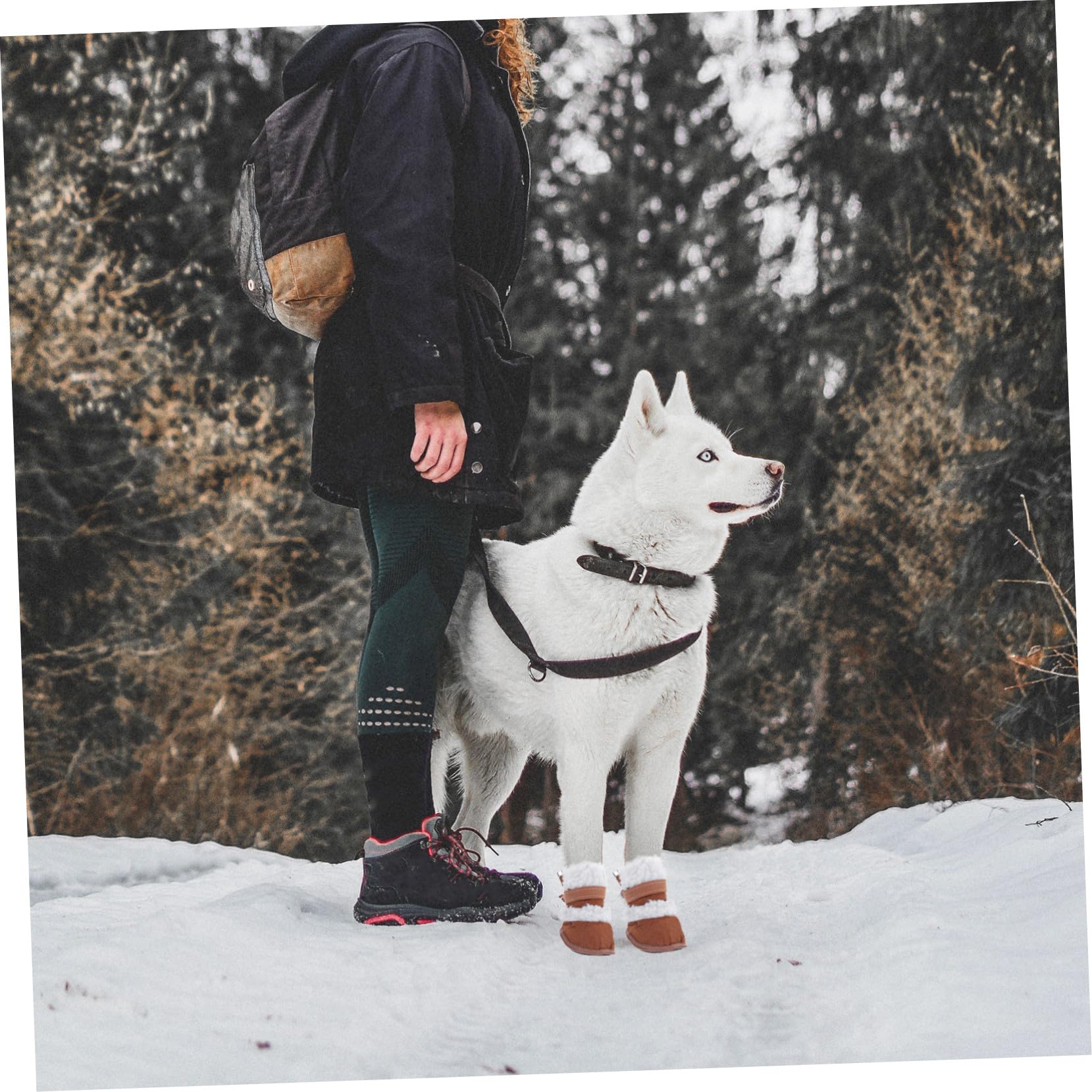 BESPORTBLE 6paare Hundeschuhe Antirutsch Teiliges Für Hunde Und Welpen Warme Outdoor-Schuhe Mit Rutschfester Sohle Für Winterliche Aktivitäten Und Pfotenpflege Schnee Und EIS