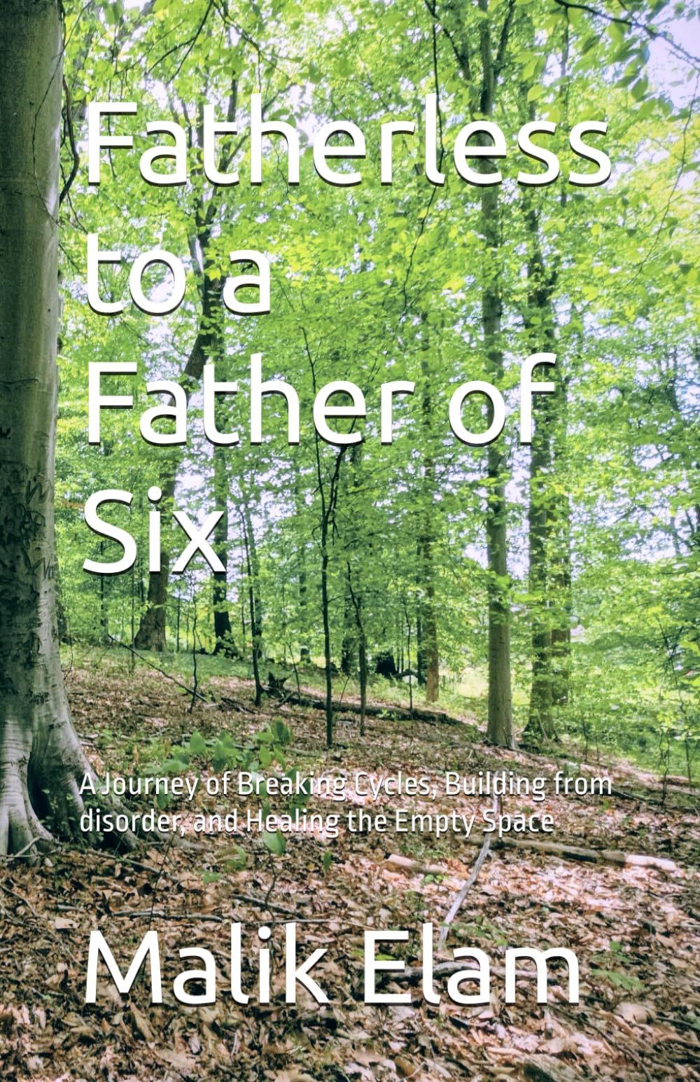 Fatherless to a Father of Six: A Journey of Breaking Cycles, Building from disorder, and Healing the Empty Space