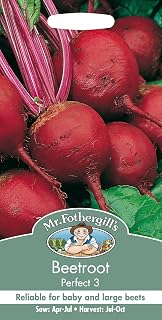 Mr Fothergill's 24797 Vegetable Seeds, Beetroot Perfect 3, Red