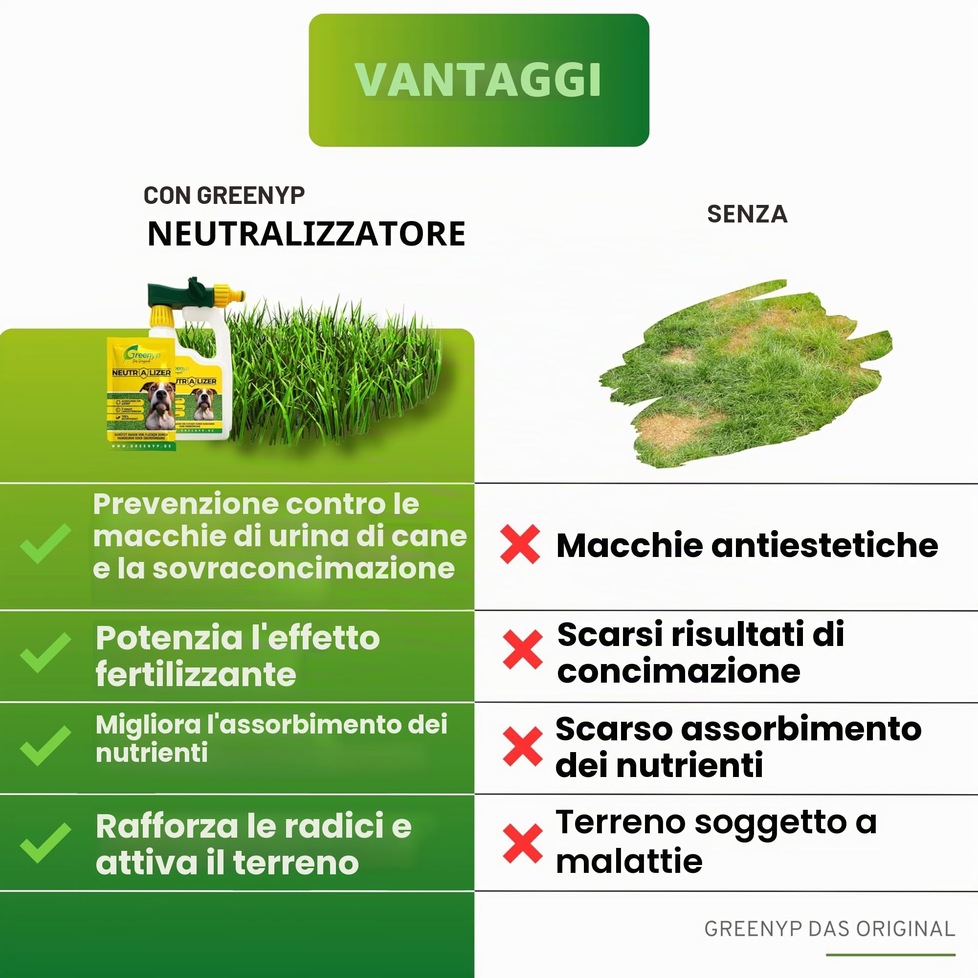 Greenyp Neutralizer - Protegge il prato dalle macchie di urina di cane I Neutralizza l'urina grazie a microrganismi efficaci I 100% attivo organico per il terreno del prato I Tanica con 2x 12g per
