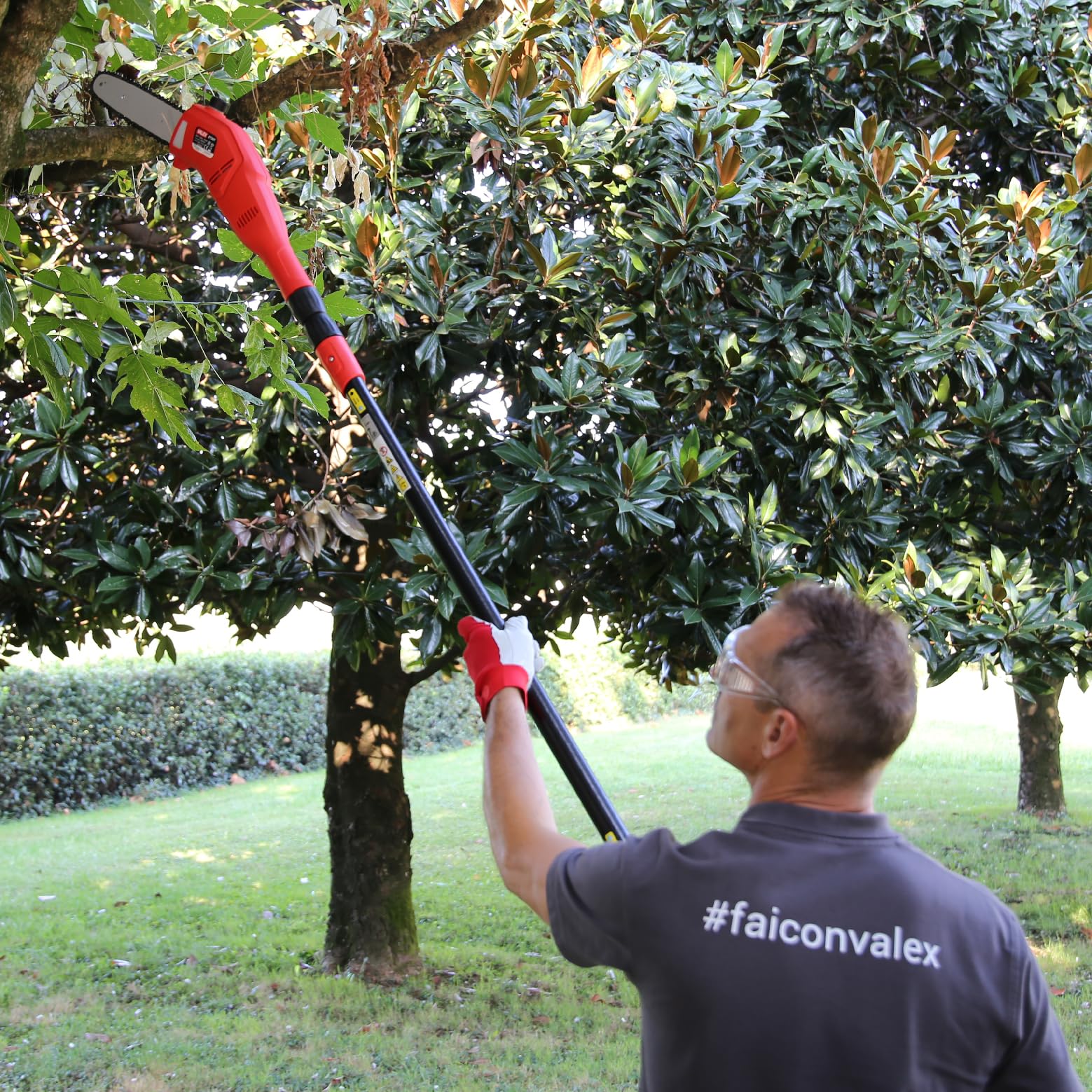 Valex Potatore Elettrico Telescopico ET301, 750W, barra 30 cm, elettrosega per potatura