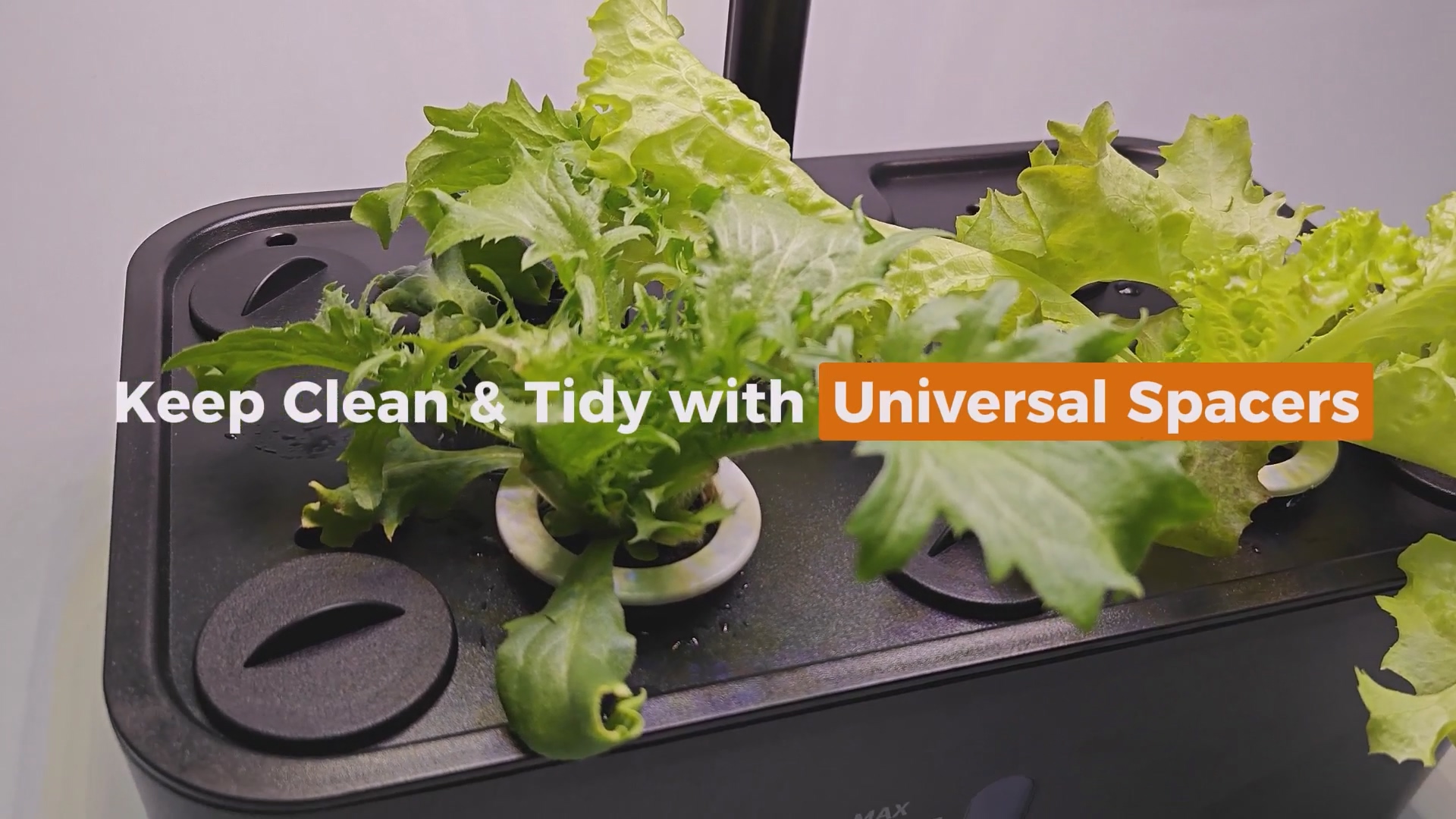 Amazon.com: Universal Plant Spacer Caps (18 Pack) Compatible with