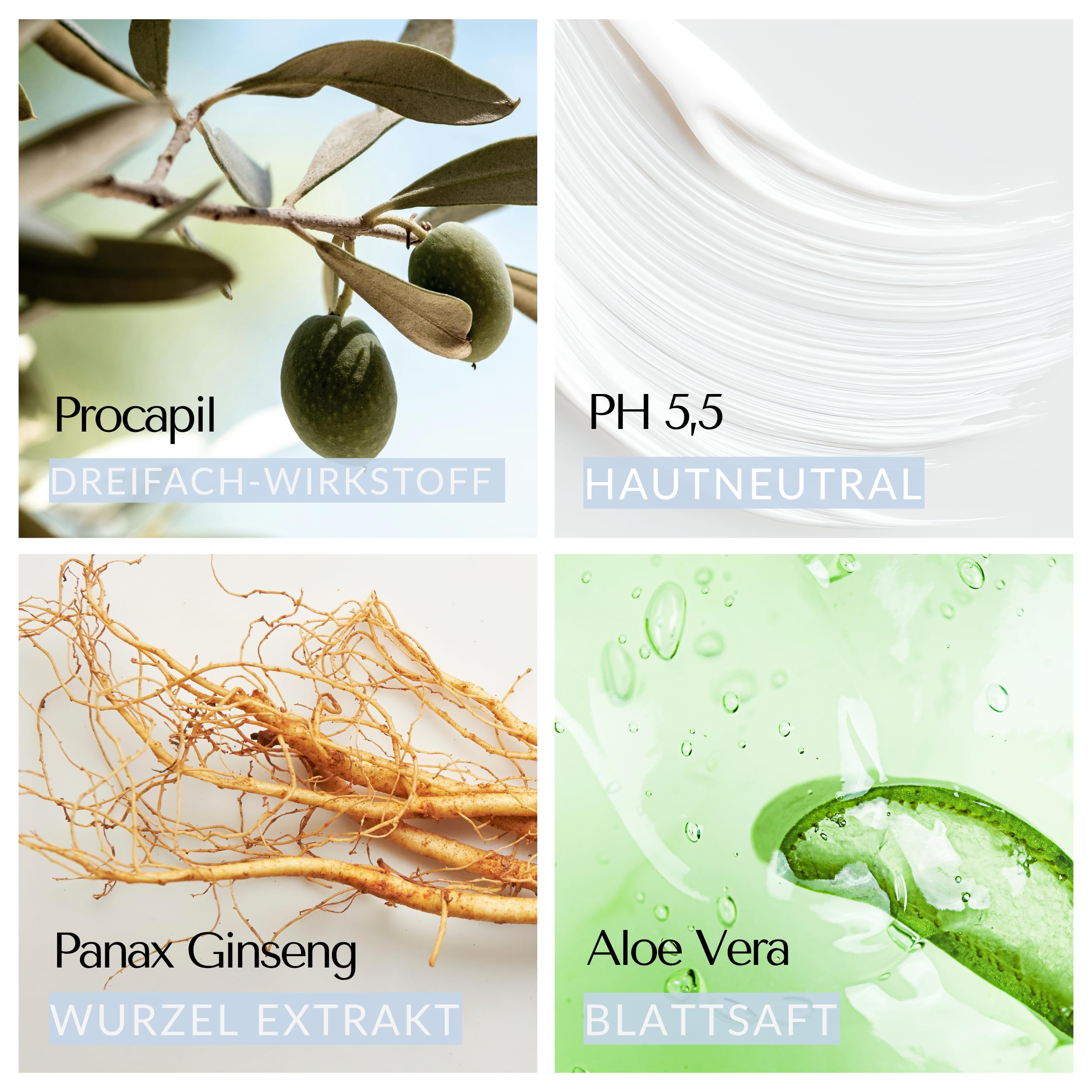 Evocapil - Haar Vitamine - 3x 300ml Haarshampoo mit Keratin, Biotin, Protein und Aminosäuren - Für Anwendungen nach Haartransplantationen - schützt und pflegt das Haar