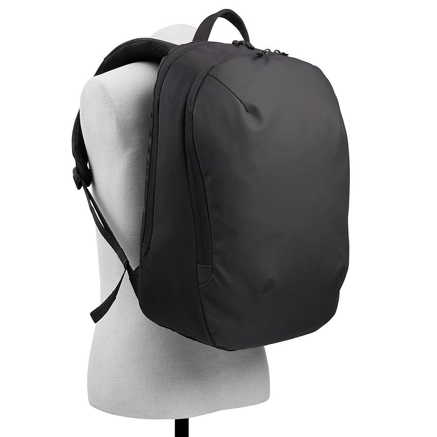 Amazon.com: Call It Spring Men's Bydric Backpack, Black