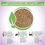 Worlds Best Cat Litter 00169 Multicat Clumping Formula Scented, 6.35kg