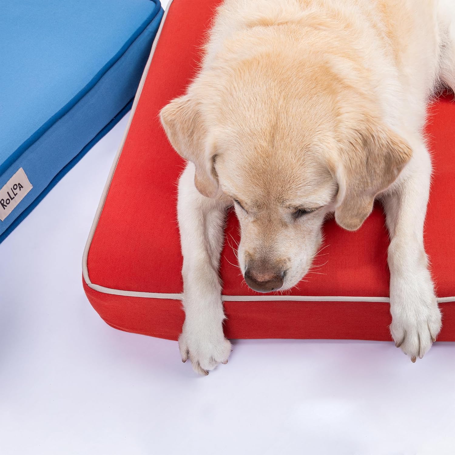 ROLLOA Orthopedic Memory Foam Dog Bed, Cooling Gel Pet Bed for Crate with Waterproof Liner and Stain Resistant Removable & Washable Cover - Small - RED
