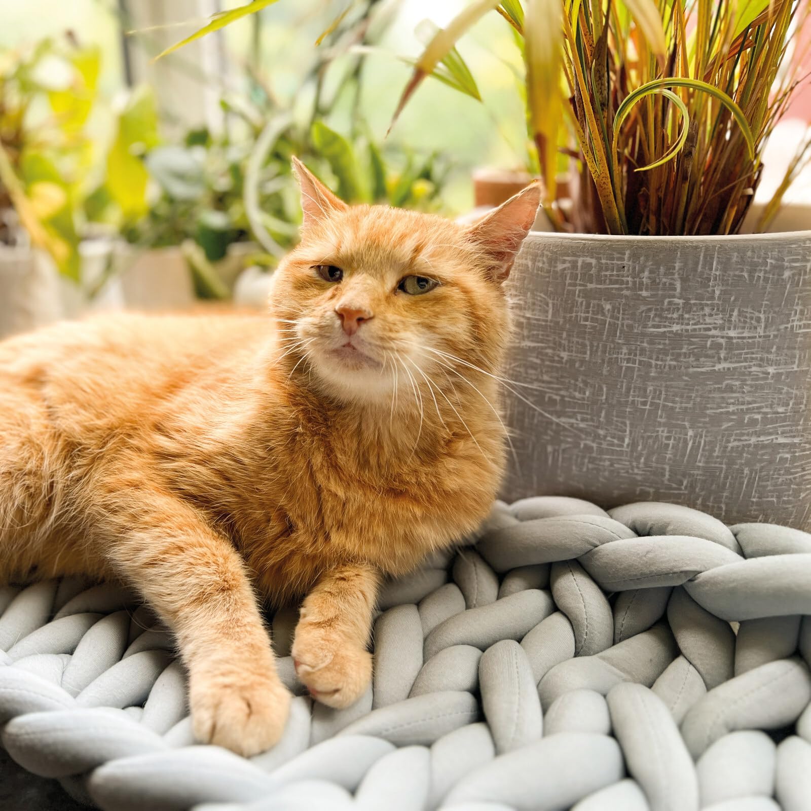 Aumüller Fensterbankliege für Katzen - Katzenbett aus Grobstrick - Grau