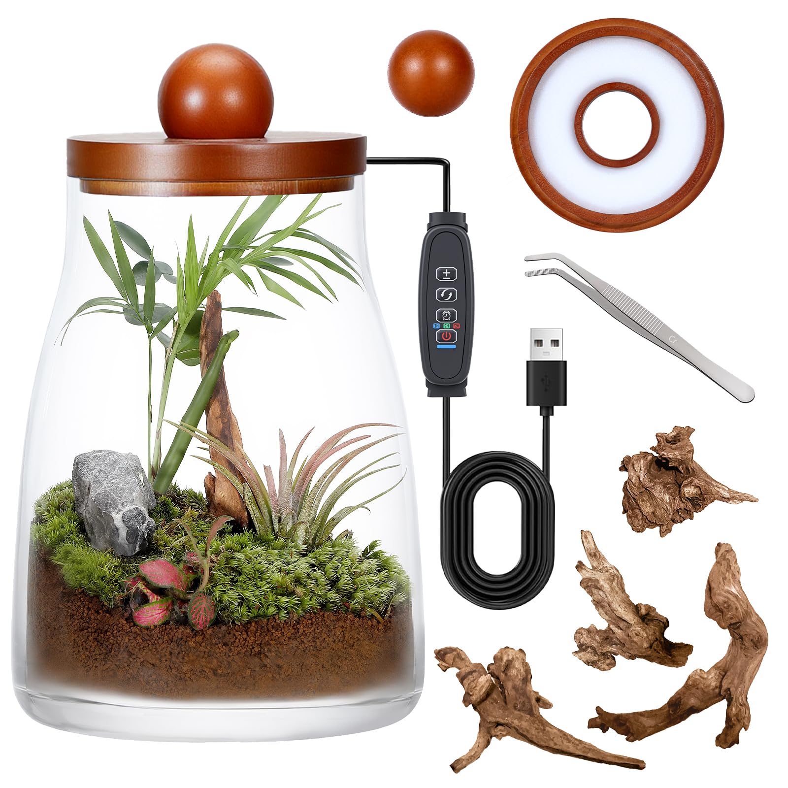 Tisch-Terrarium aus Glas mit Wachstumslicht, Pflanzen-Anzuchtstation für Moos, Sukkulenten, Miniatur-Gartenlandschaft, Betta-Fischtank, Desktop-Dekoration für Zuhause und Büro, Pflanzenliebhaber