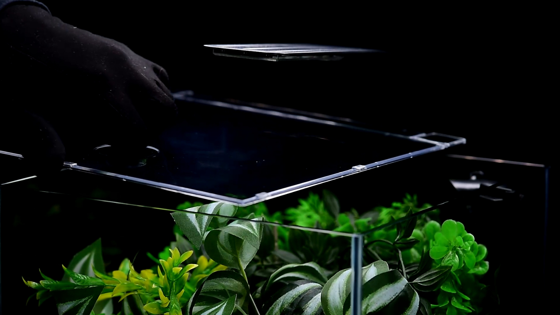 Amazon.com: Aquatop Venti Professional Showcase Glass Aquarium Kit