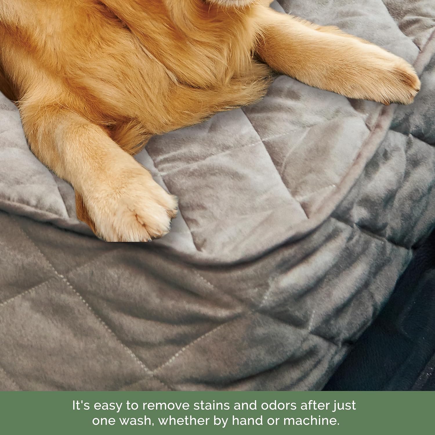 Elegant Comfort Premium Front Seat Car Protector... 13 Elegant Comfort Premium Front Seat Car Protector...