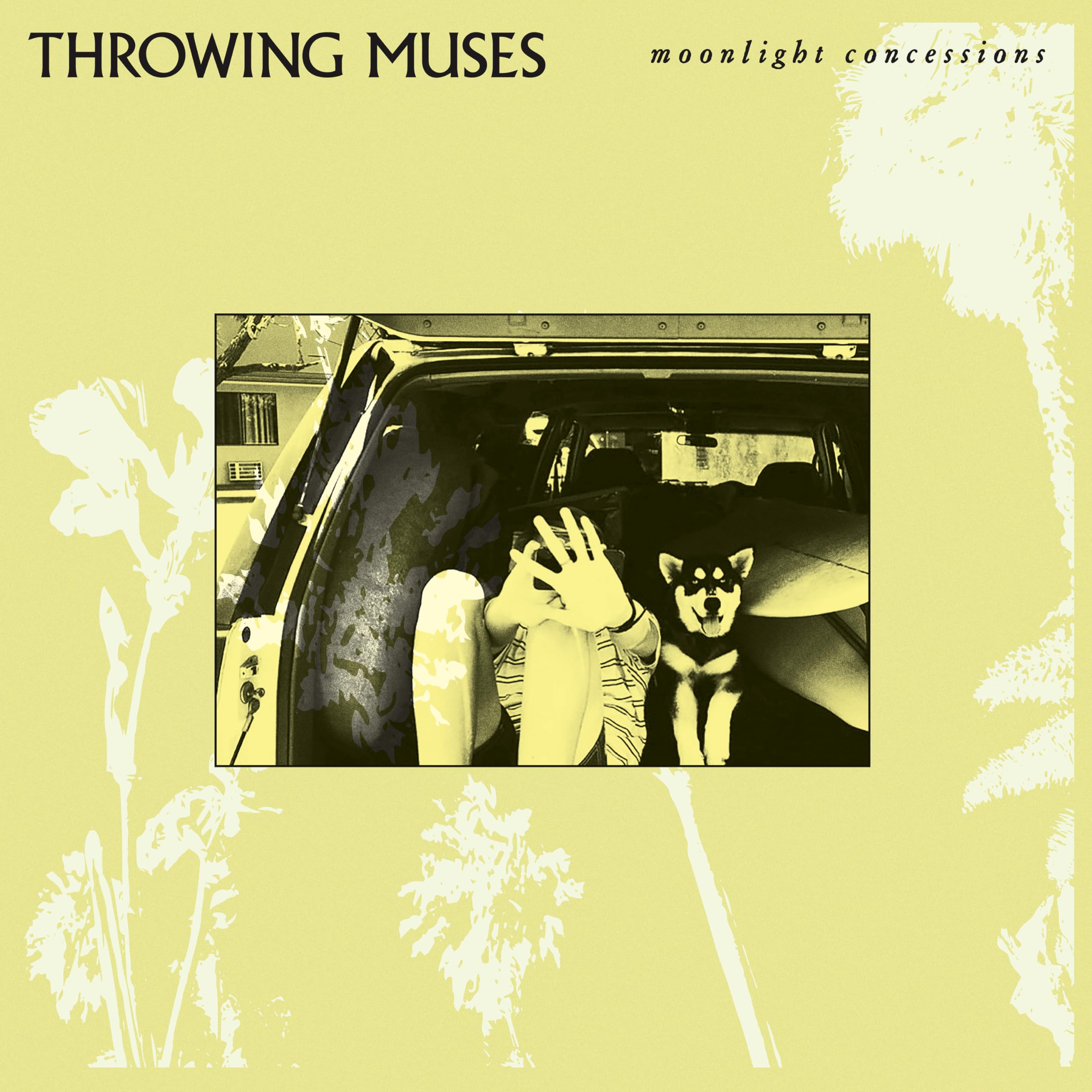 THROWING MUSES - Moonlight Concessions - Vinyl (limited clear vinyl LP)