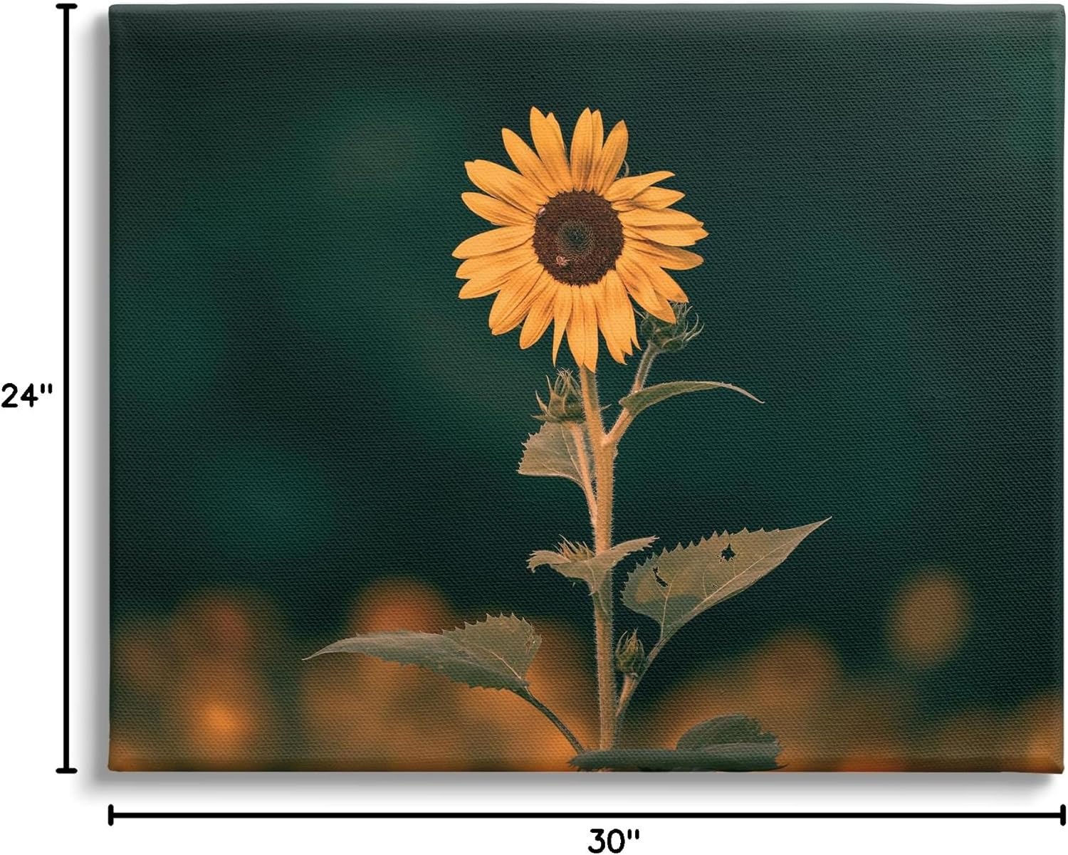 Stupell Industries Dark Sunflower Nature Canvas Wall Art by Daniel Sproul