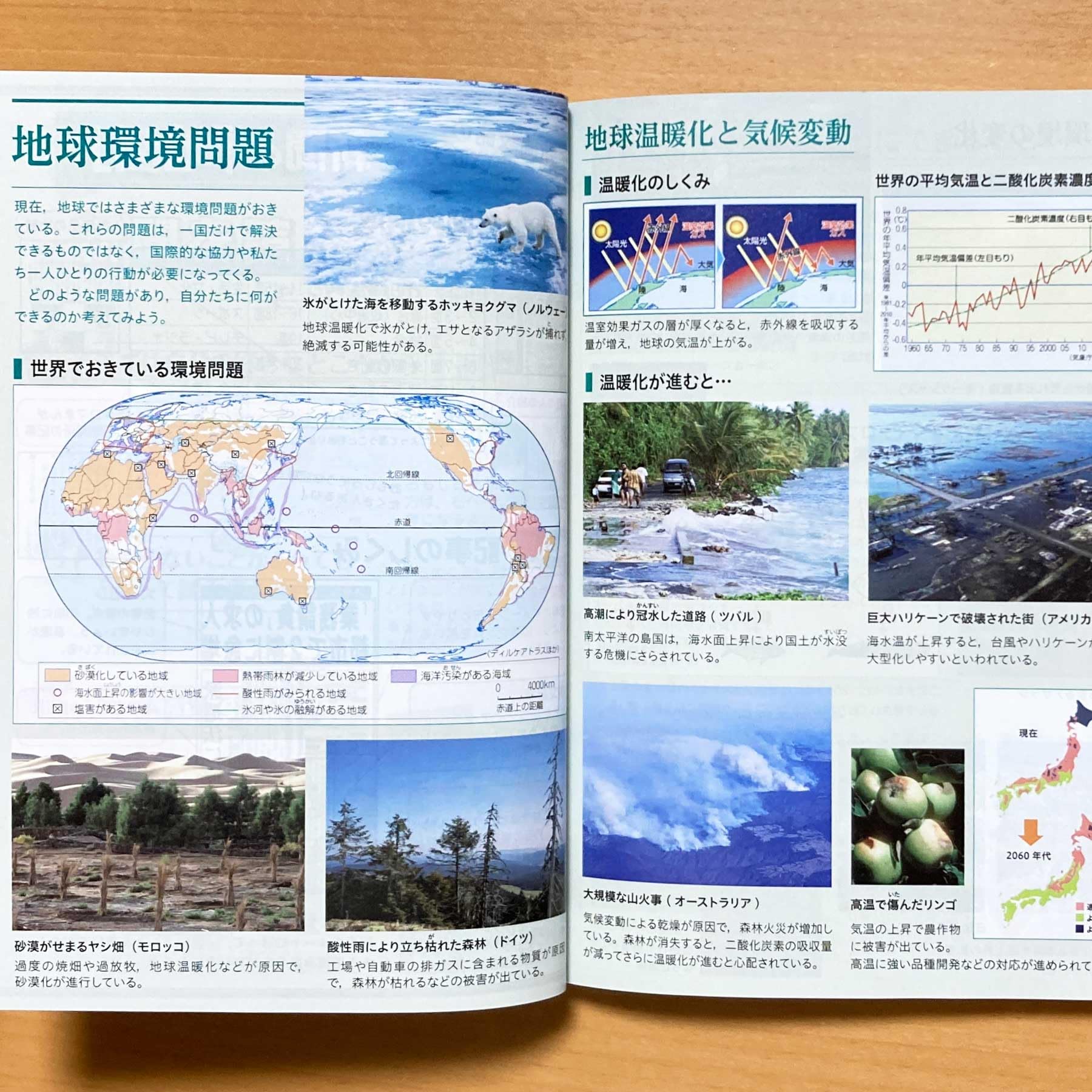 Amazon.co.jp: 2026年度「公民用語ハンドブック」新学社 中学 公民