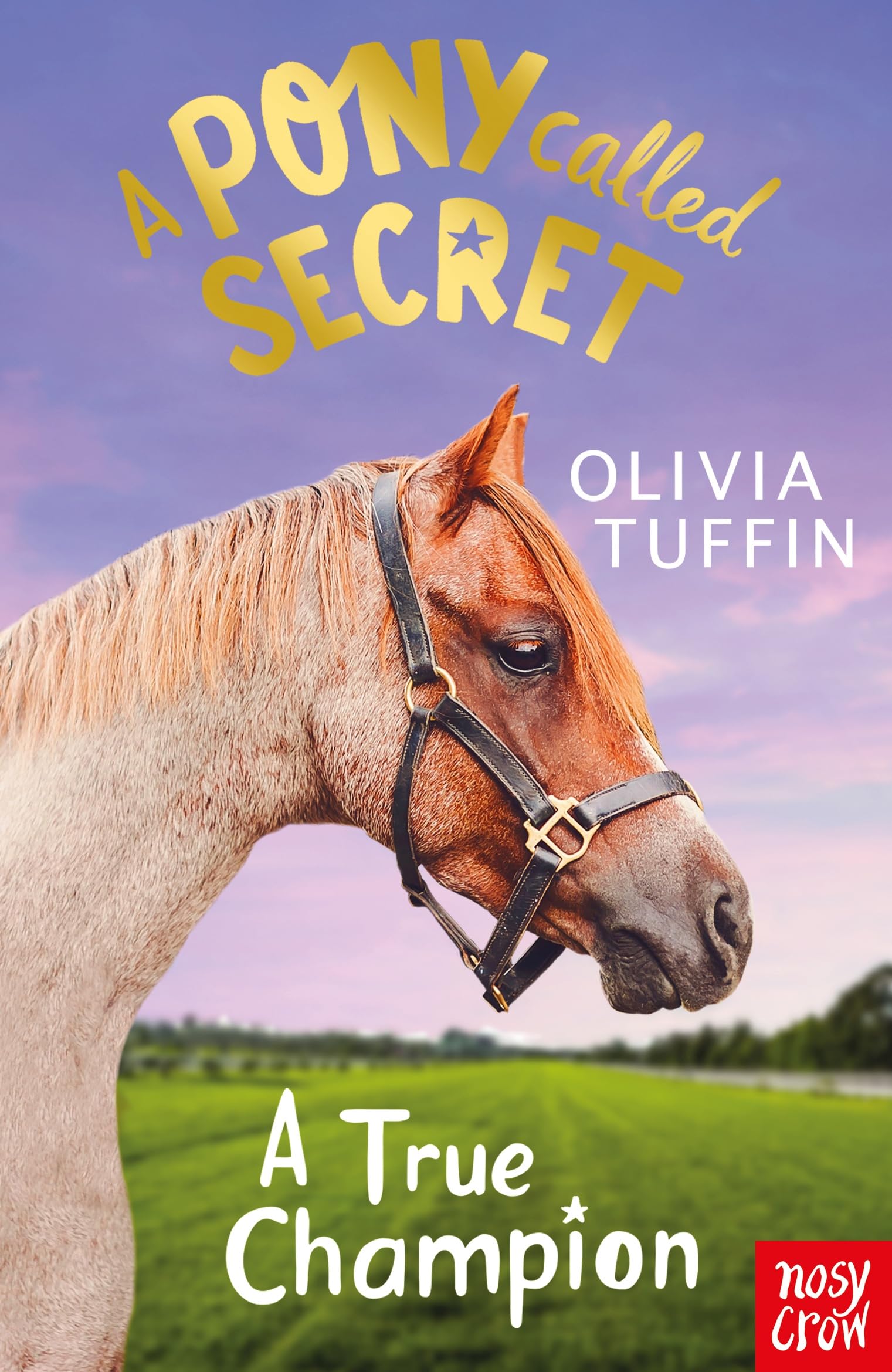 A Pony Called Secret: A True Champion