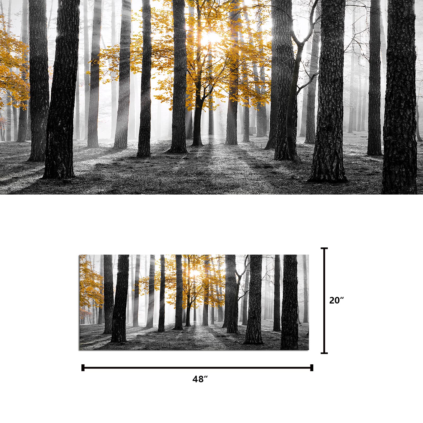 5 pezzi stampa su tela Albero Giallo Nella Foresta Nebbiosa Del Sole 5 pezzi quadro su