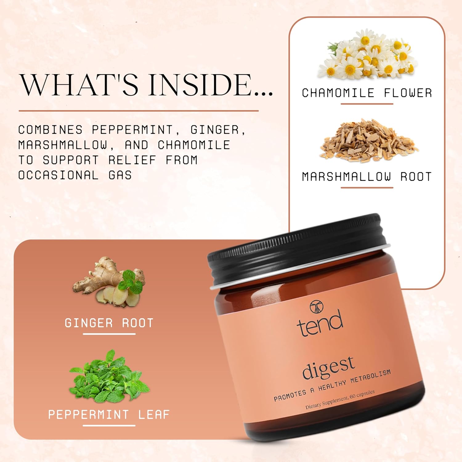 Tend Digest – Digestive Enzyme & Herbal Blend | Bloating Relief, Gas Support, Gut Health Supplement with Peppermint, Ginger & Chamomile - Image 2