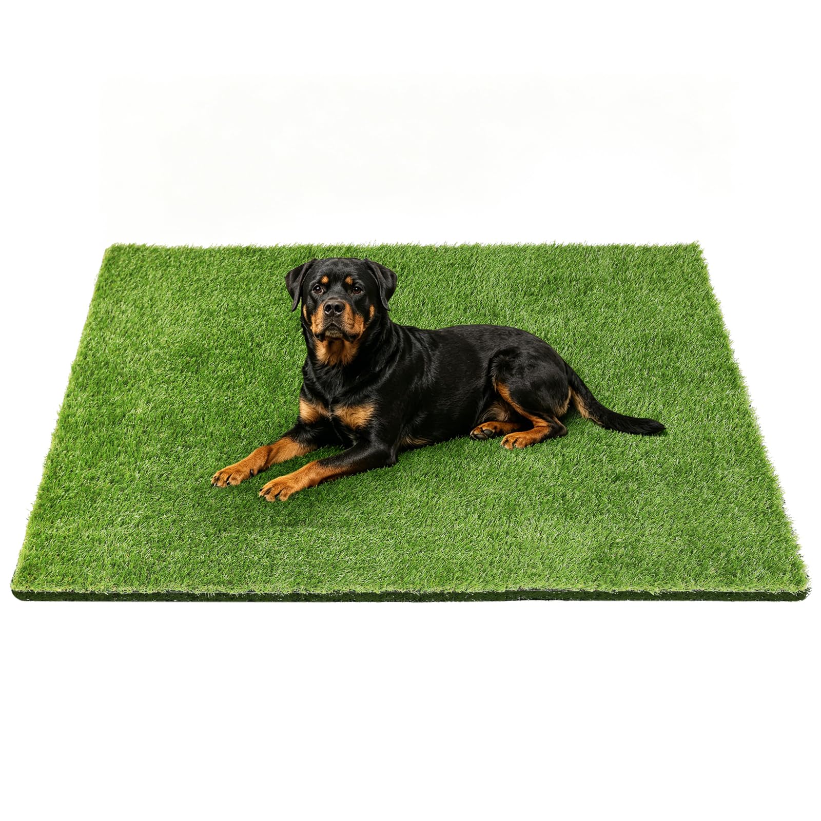 Yinoos Fake Grass Mat 48x32 IN