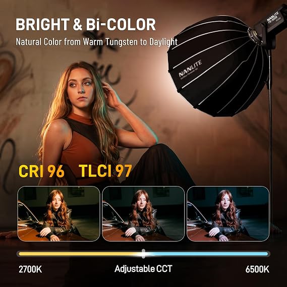 Nanlite FS-300B Bi-Color LED Video Light