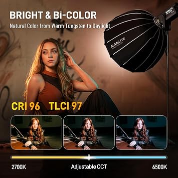 Nanlite FS-300B Bi-Color LED Video Light