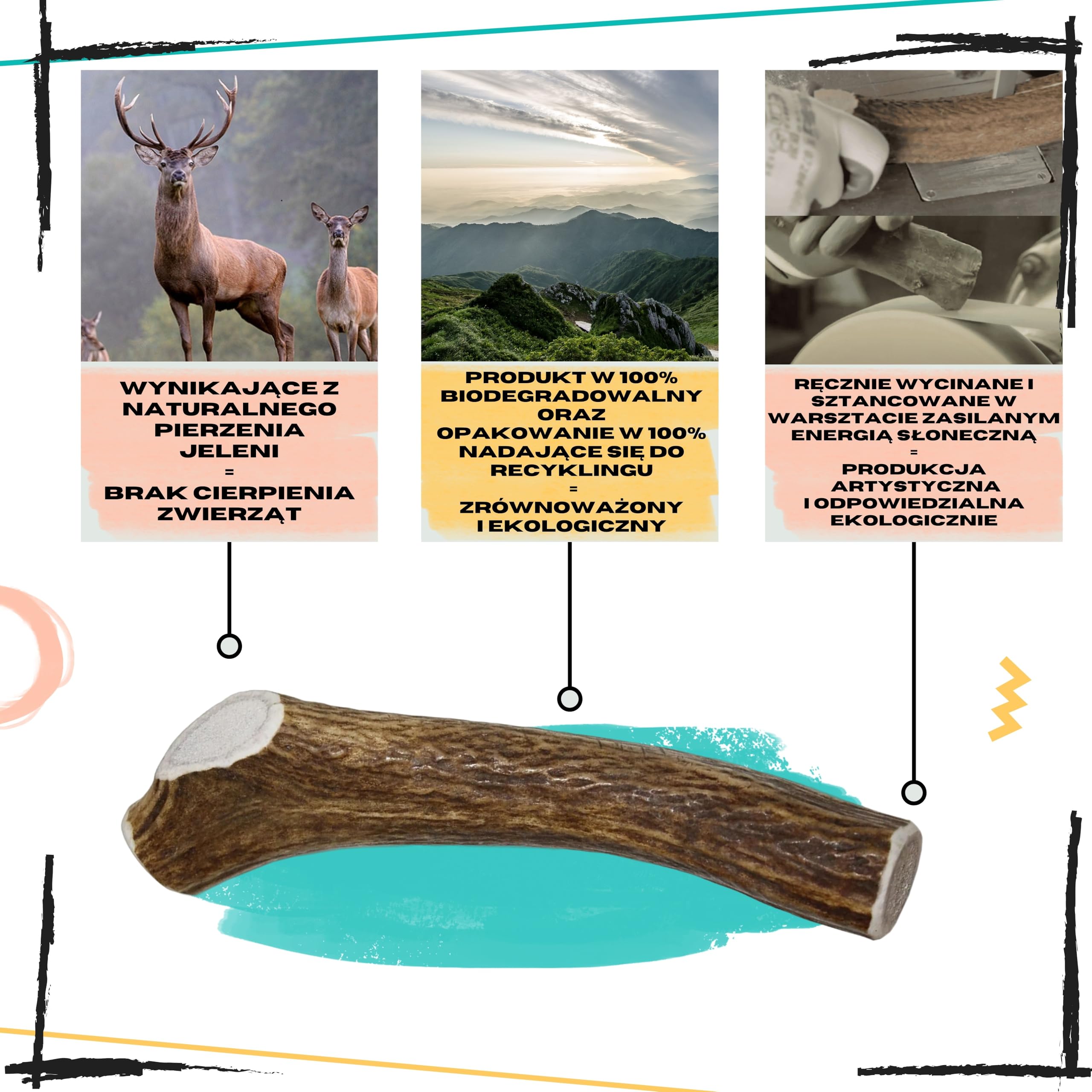 Poroże jelenia dla psa, Rozmiar XS Psy Miniaturowe i Szczenięta, 2 szt | Usuwa kamień nazębny, Źródło minerałów, 100% Naturalny gryzak, Ultra wytrzymały, Bez konserwantów