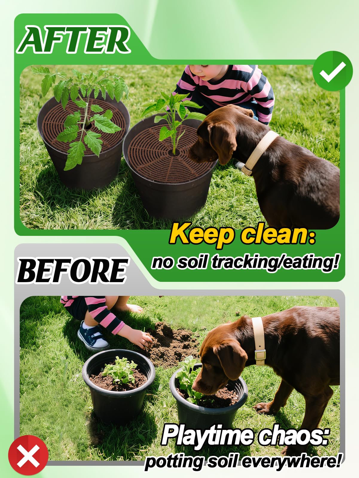 How to Keep Dogs from Eating Garden Plants: Expert Tips