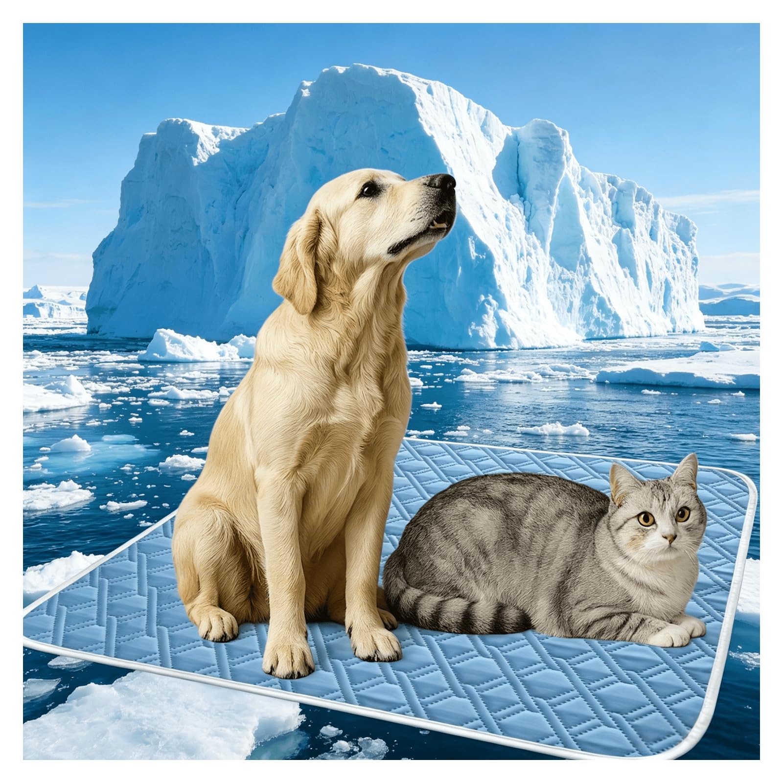 Generic Cooling Mat for Dogs & Cats | 2026 New Self-Cooling Dog Mat Summer | Washable Cooling Pad Self-Cooling Dog Cooling Blanket Cats for Dog Cat | Blue | XXL