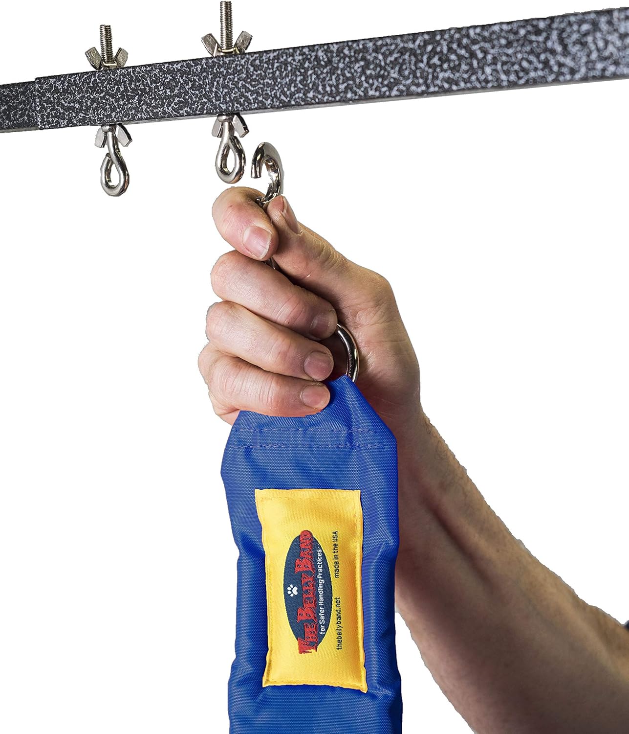 The Belly Band (Short, Royal Blue)