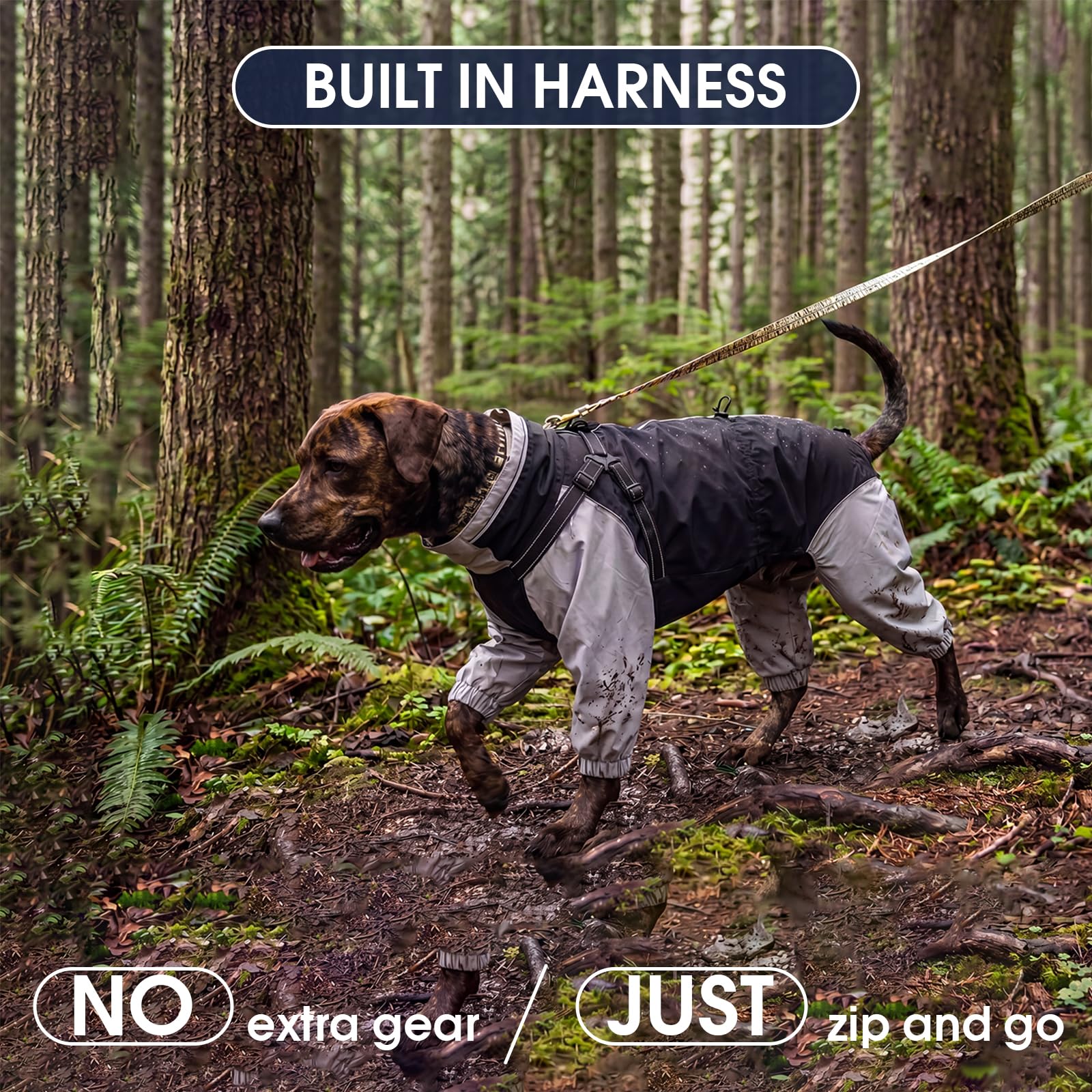 IECOii Hundejacke wasserdicht kleine Hunde Full-Body 4-Leg mit versteckter Kapuze,Reißverschluss und Built-in Harness – Hundejacke Regen,wasserabweisend,leicht,atmungsaktiv,Outdoor,Spaziergänge