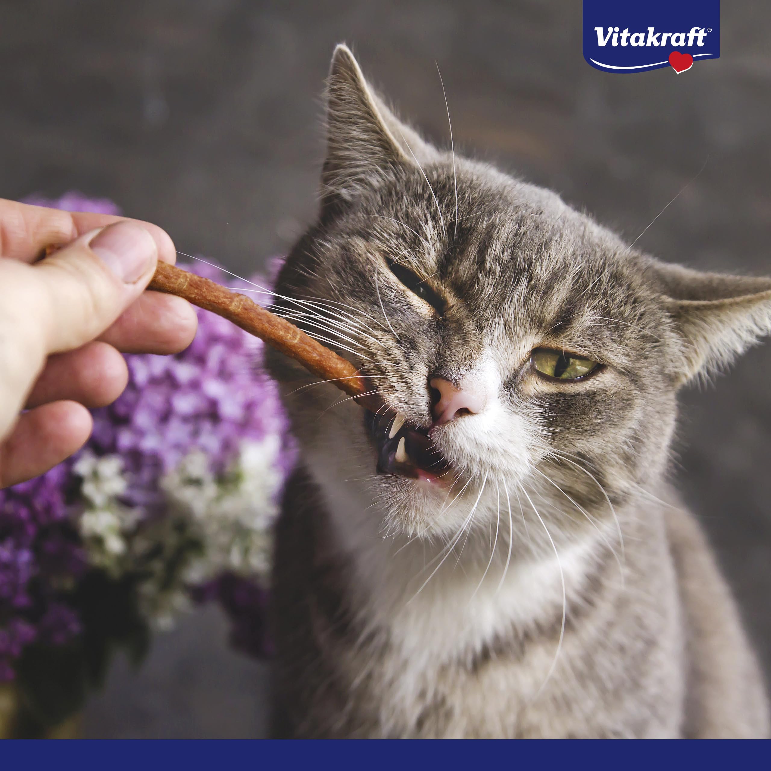 VITAKRAFT- Pure Stick, Friandise Pour Chats, Stick À Base De Viande, Au Lieu Noir, Sticks Individuels, Adapté Aux Chats Sensibles, Format Économique (20 X 20G)