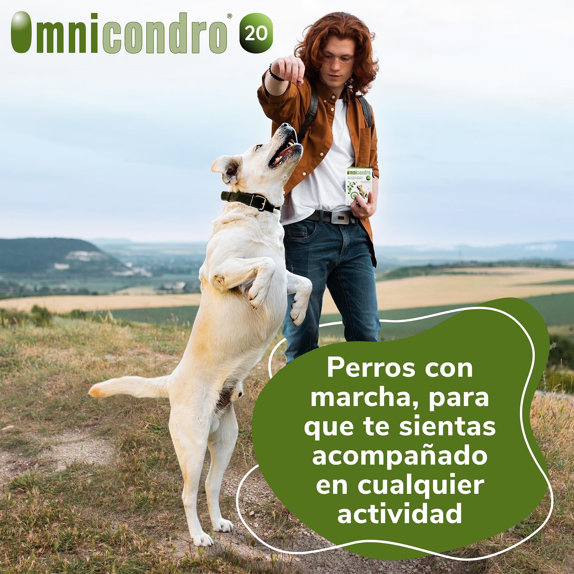 Omnicondro 20 Hifarmax - Condroprotector para Perros y Gatos | Glucosamina y Condroitina para Articulaciones | Vitaminas Mascotas | Suplementos para Perros Mayores | 300 Comprimidos