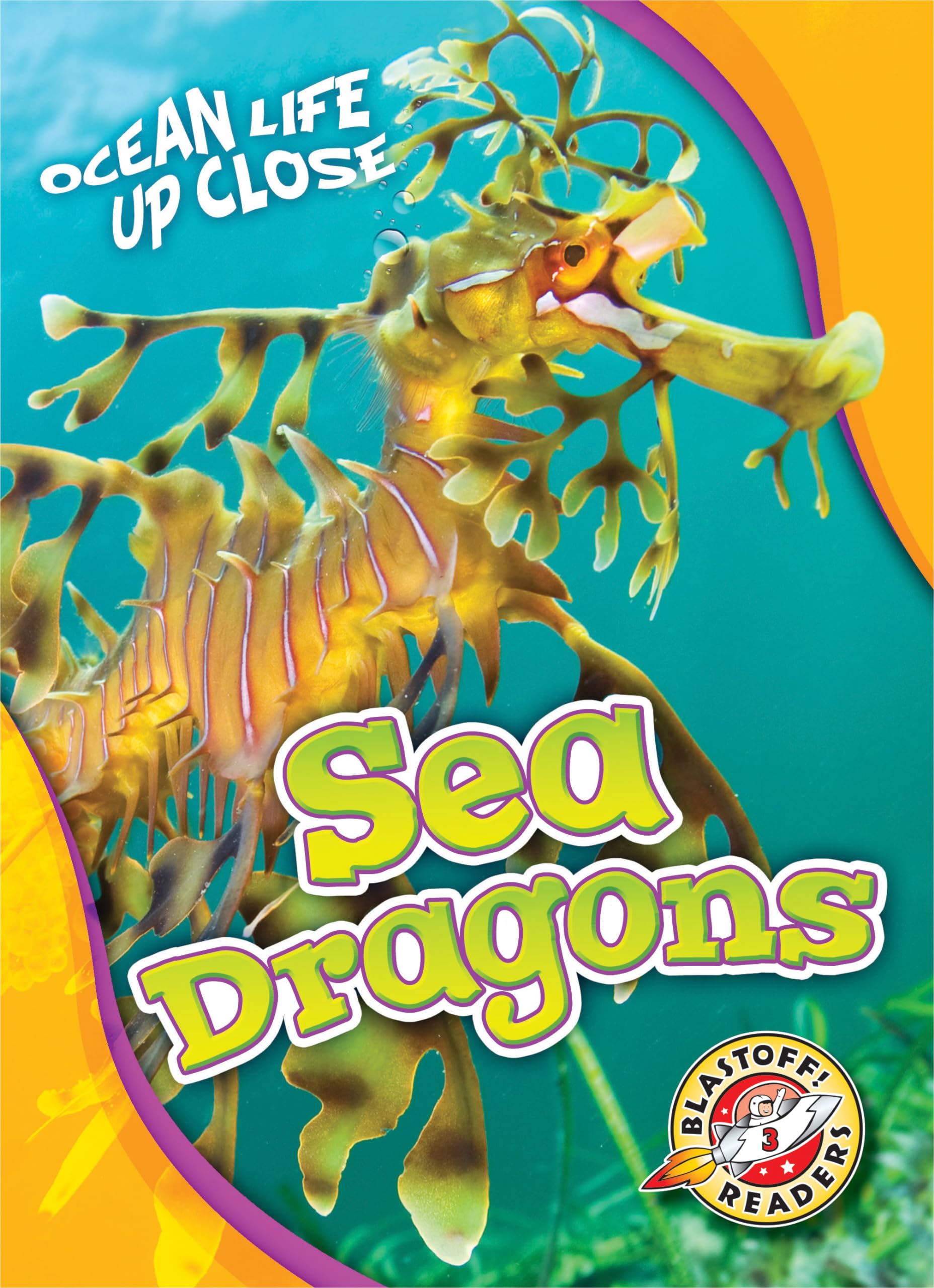 Sea Dragons (Ocean Life Up Close)