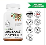 PlantVital Mushroom Booster Plus – Made in Canada – Mushroom Complex with Lions Mane, Reishi, Chaga, Turkey Tail & Cordyceps – Source of Antioxidants & Herbal Medicine Formula – 120 Capsules