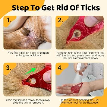 Tick Remover Tool 3 Pack, Suitable for Pets, Animals, and Humans.